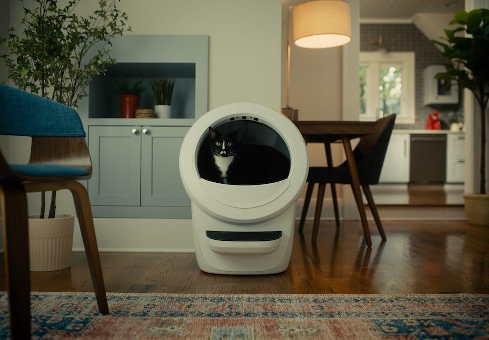 白い Litter-Robot 4 の中にいるハチワレの猫
