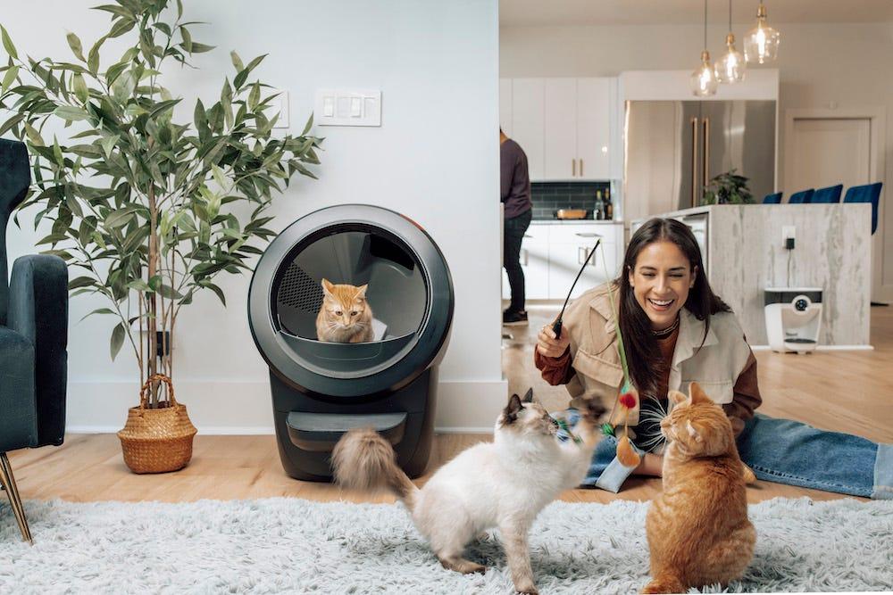 複数の猫が Litter-Robot 4 を使っている家