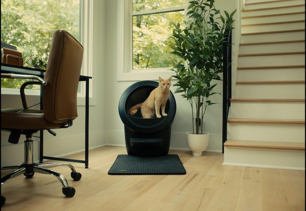 部屋に置かれた黒い Litter-Robot 4 の中に座る茶トラの猫