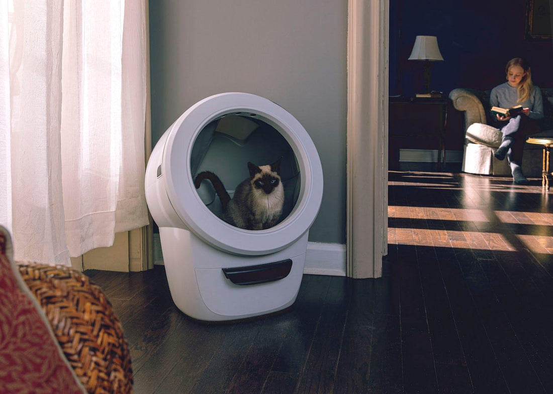寝室に置かれた白い Litter-Robot 4 の中に座るシャム猫