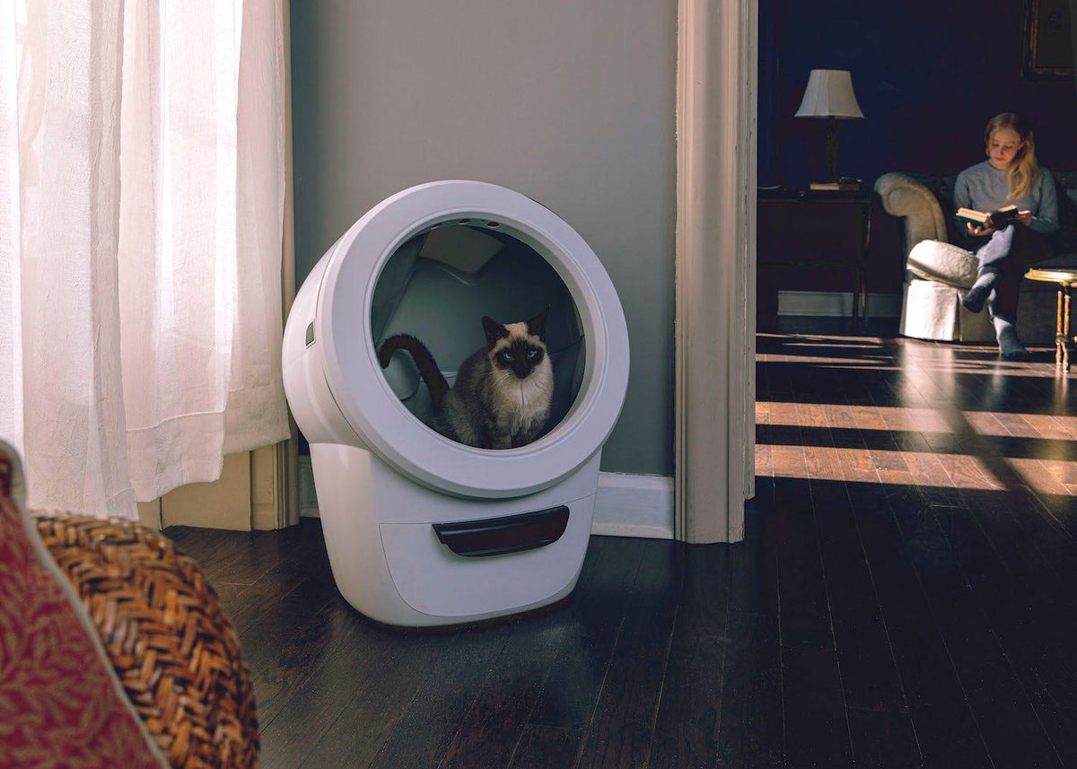 寝室に置かれた白い Litter-Robot 4 の中に座るシャム猫