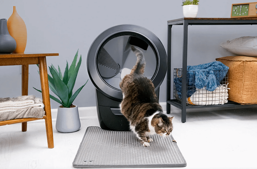 猫トイレの前に敷かれた猫砂マット