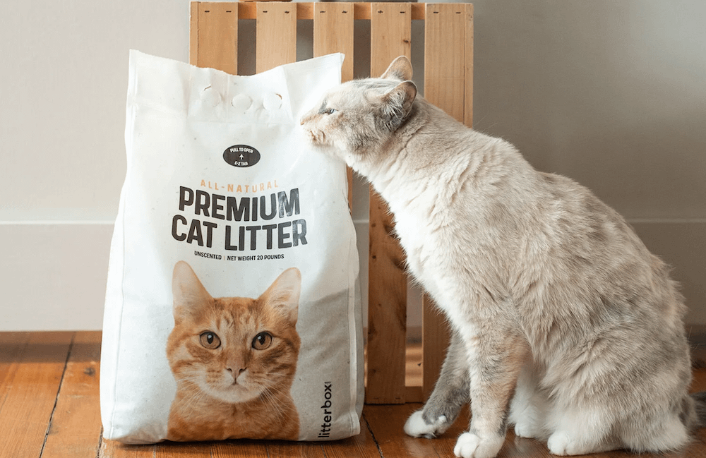 猫砂の袋のにおいを嗅ぐ猫
