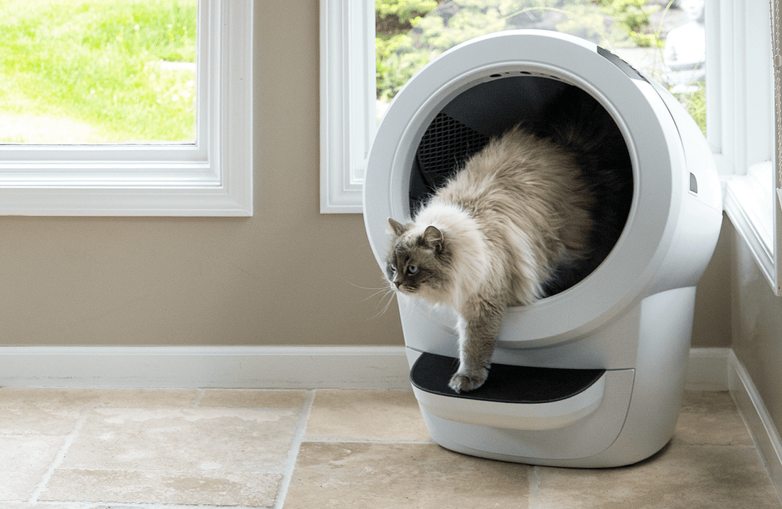 Litter-Robot 4 から出てくるサイベリアン