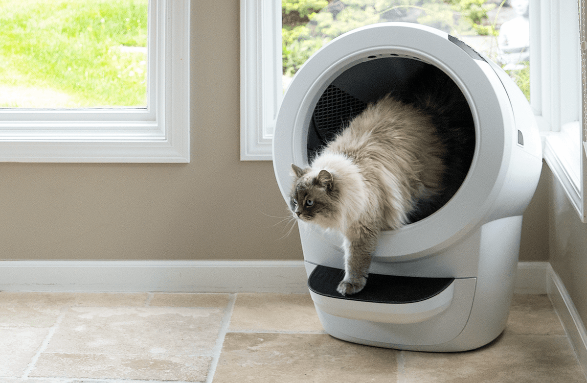 Litter-Robot 4 から出てくるサイベリアン