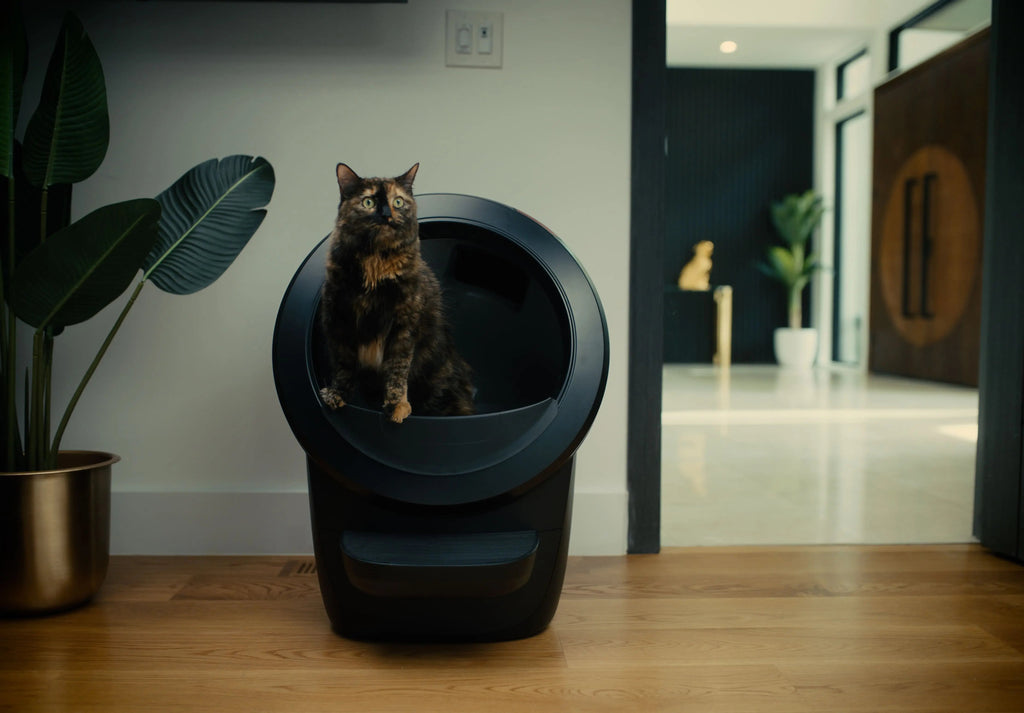 Black LR4 hero stance modern door.jpg__PID:890ddde5-e687-48e5-990e-a29349eb6379