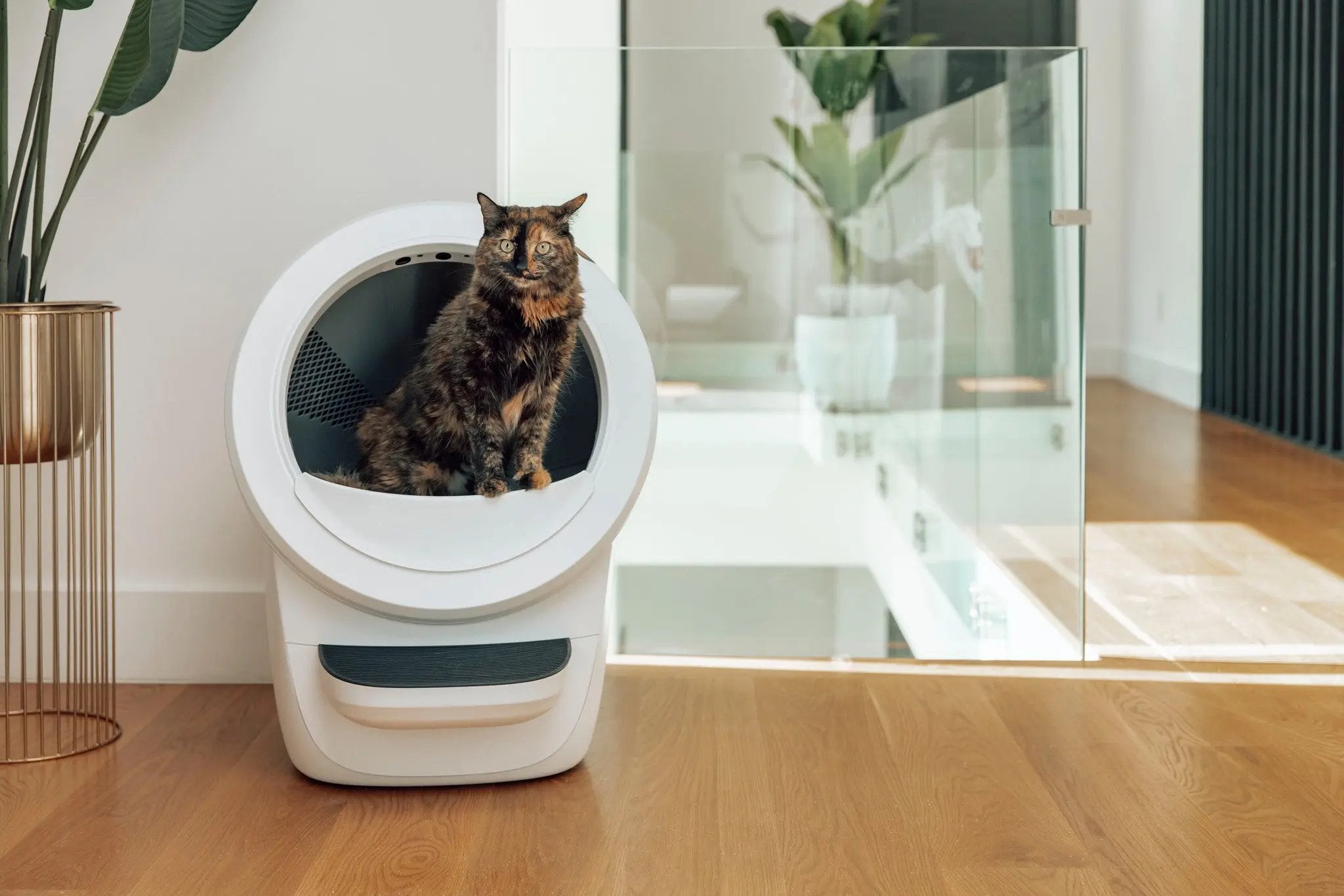 Litter-Robot 4 (リッターロボット4) ホワイト Litter-Robot JP