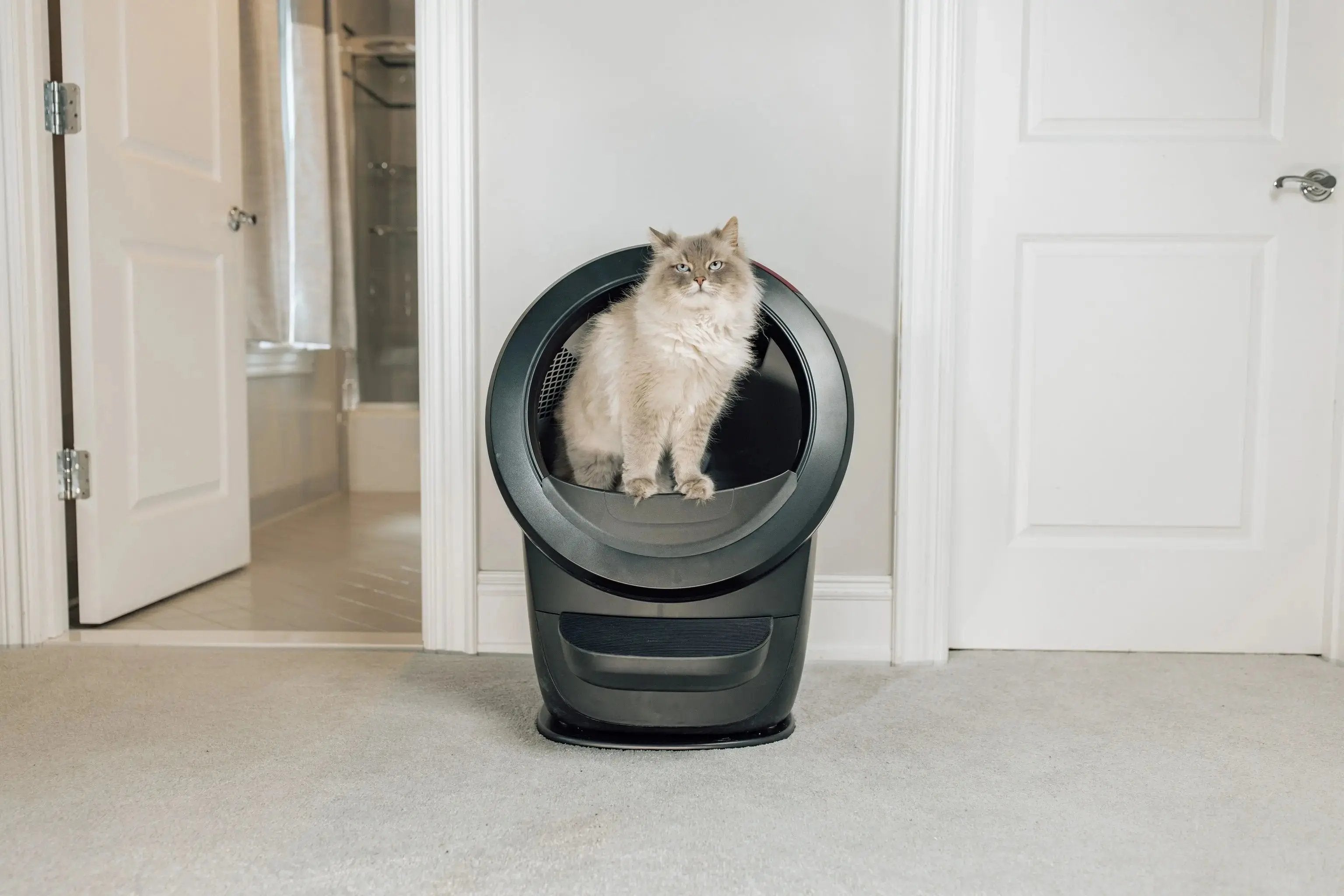 Litter-Robot 4 (リッターロボット4) ブラック – Litter-Robot JP