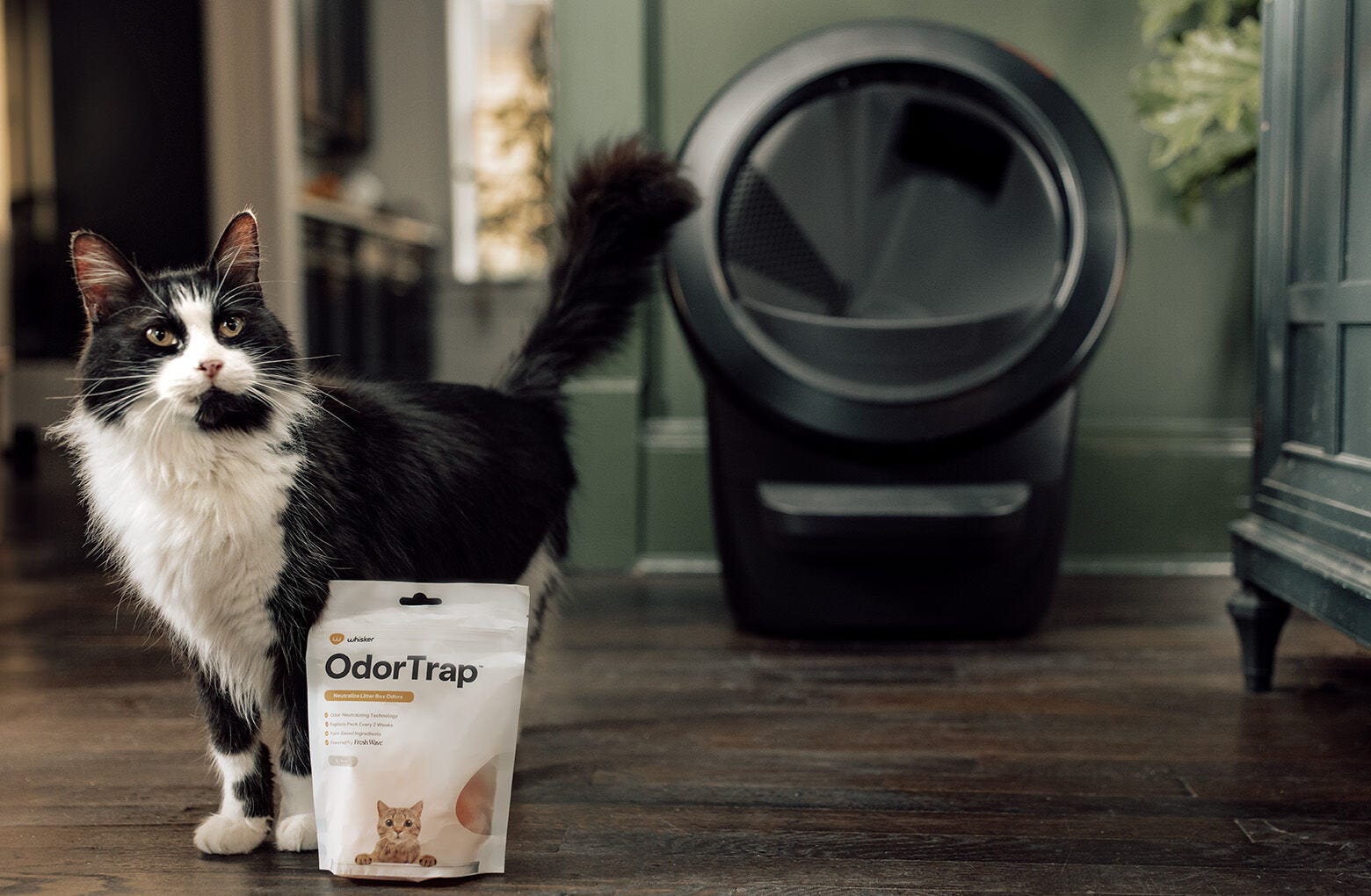 Litter-Robot 消臭トラップ Litter-Robot JP