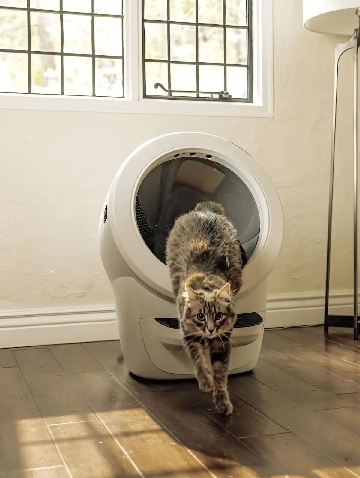 Litter-Robot 4 (リッターロボット4) ホワイト – Litter-Robot JP