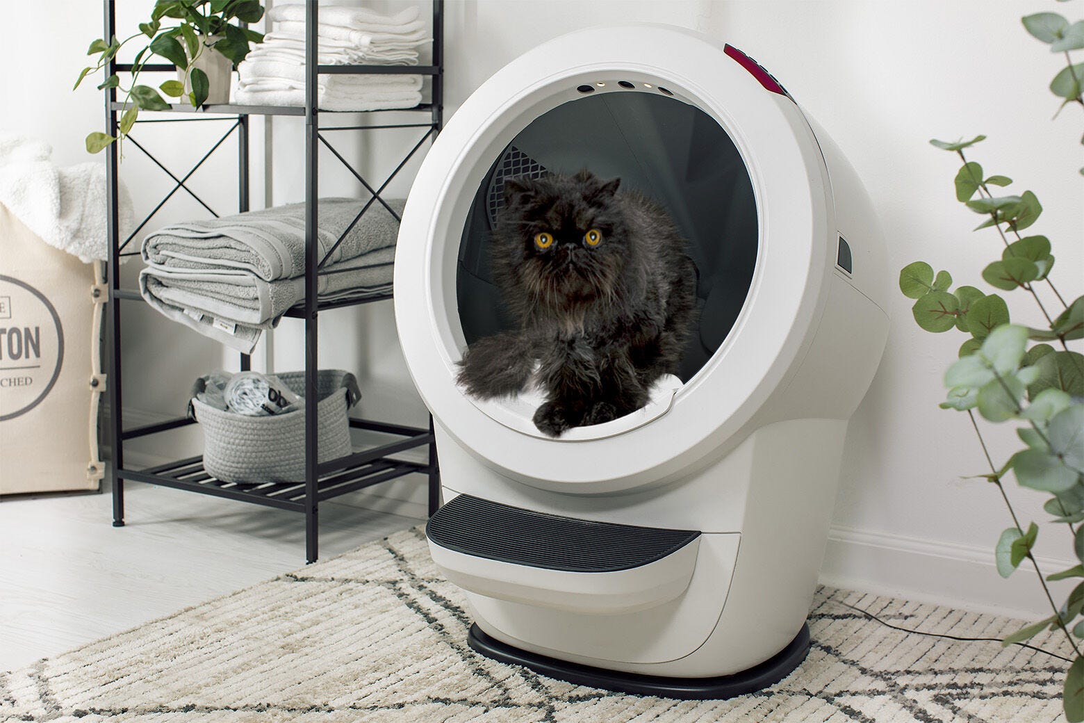 Litter-Robot 4 カーペットトレイ Litter-Robot JP