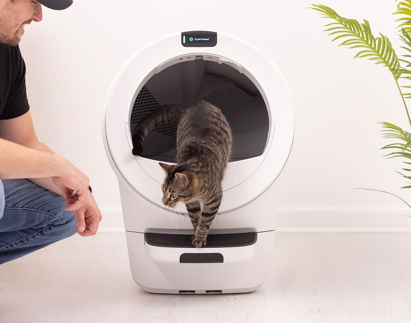 焦らず、猫のペースで